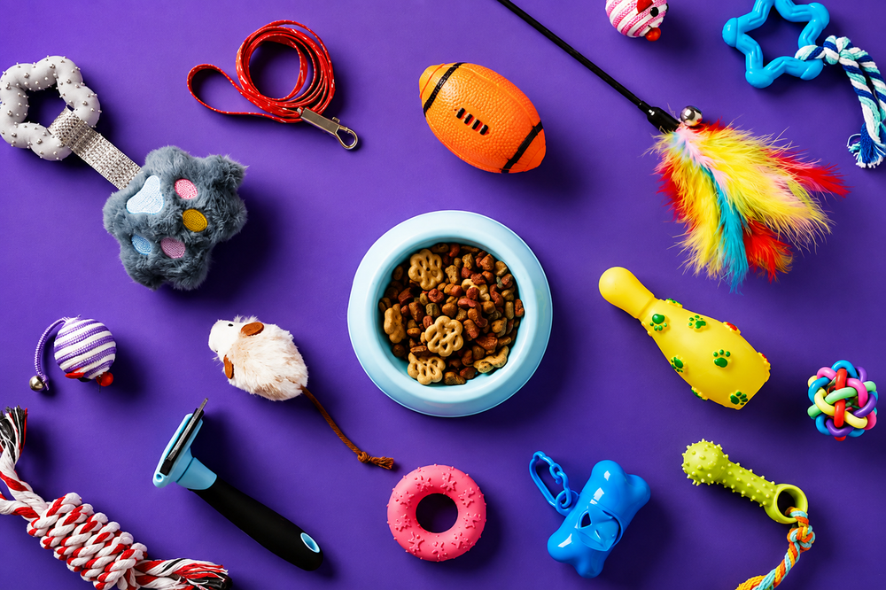 Pet Toys & Play